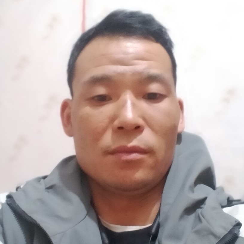小松鼠浅吻能干的照片