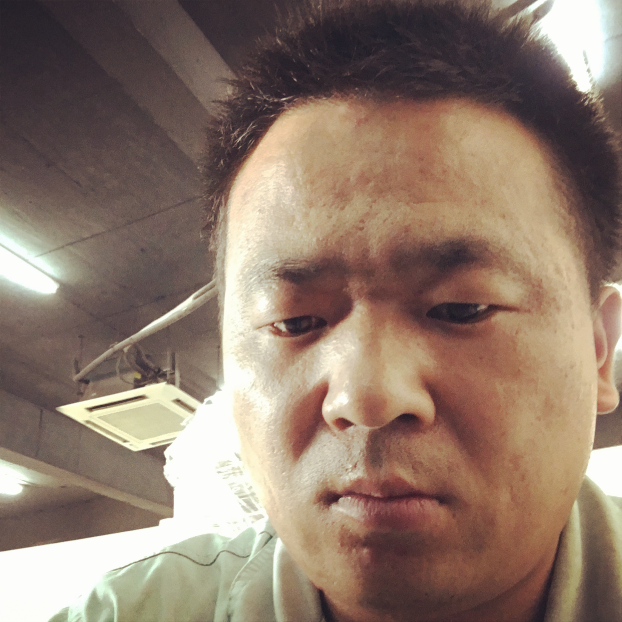 糊涂就龙猫的照片