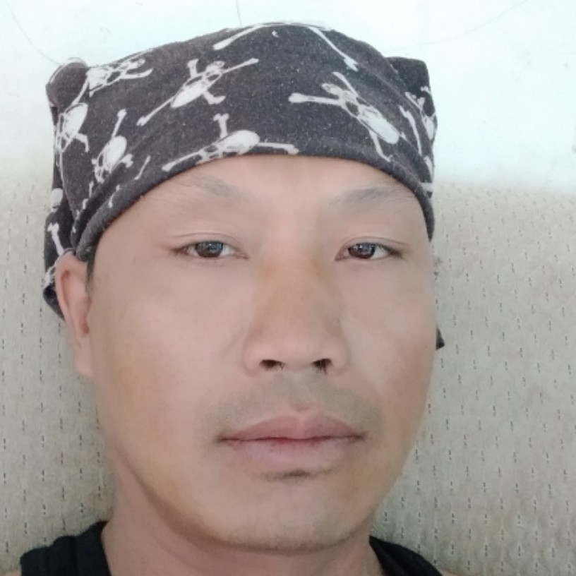 刺猬等待寂冷的照片