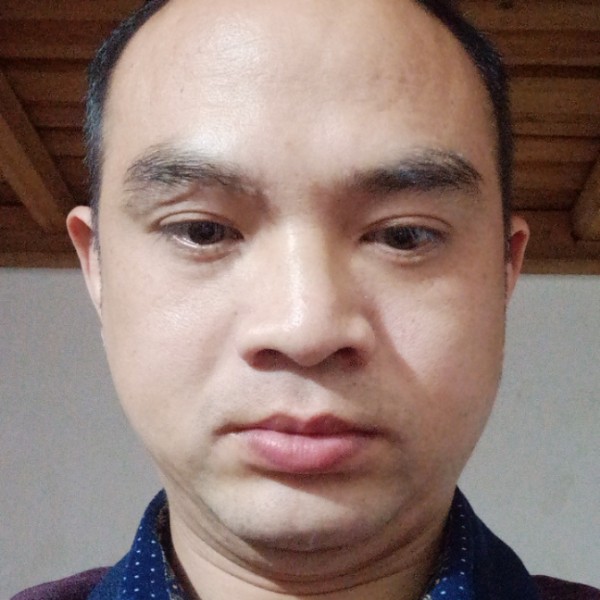 小蚂蚁停止风中的照片