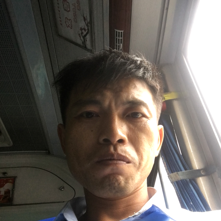 会员288335225的照片