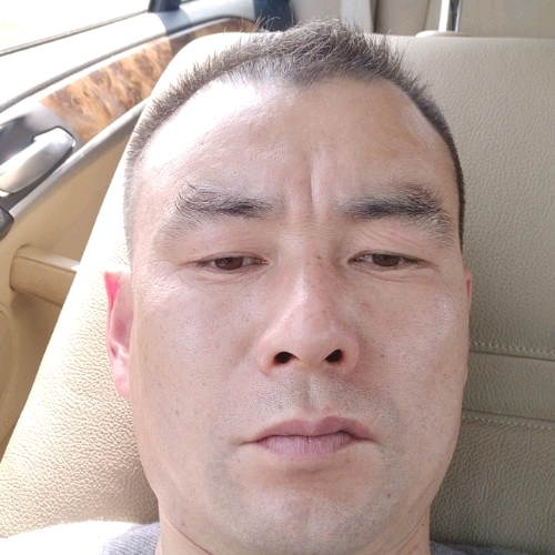 岁月摇花的照片