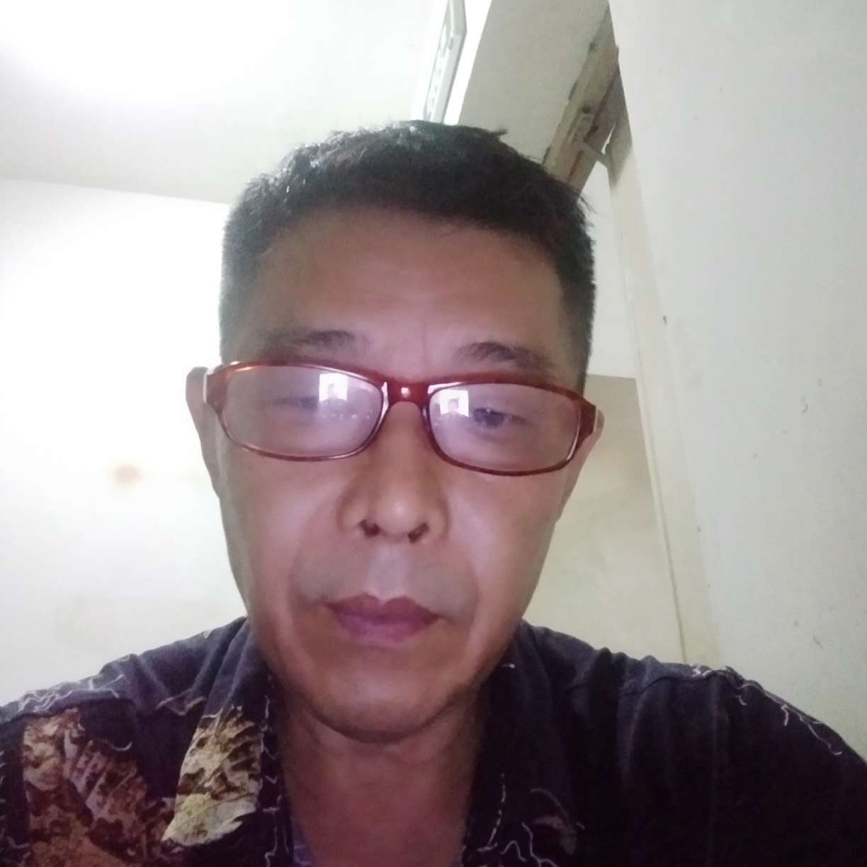 蘩藜停止魁梧的照片