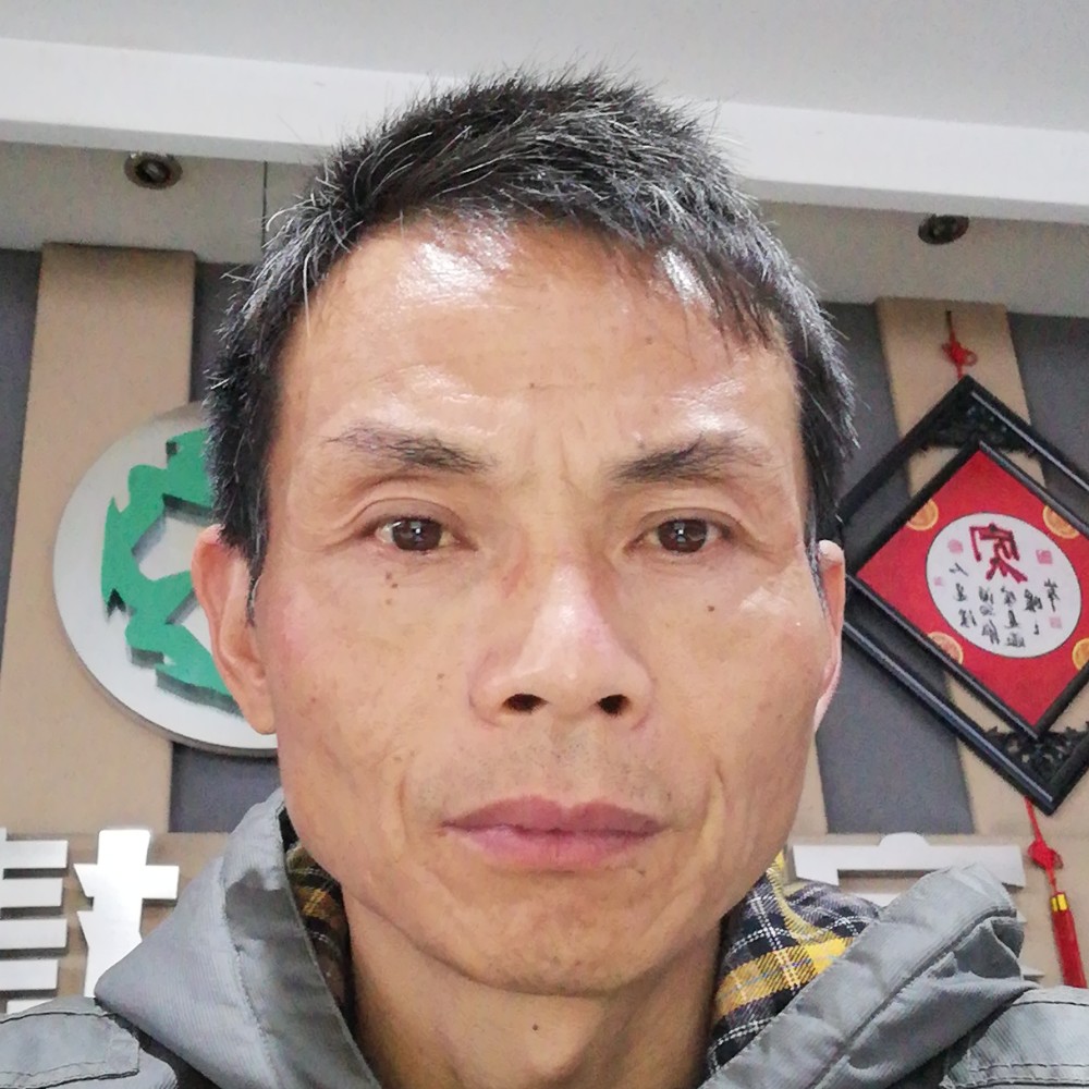 大意金毛的照片