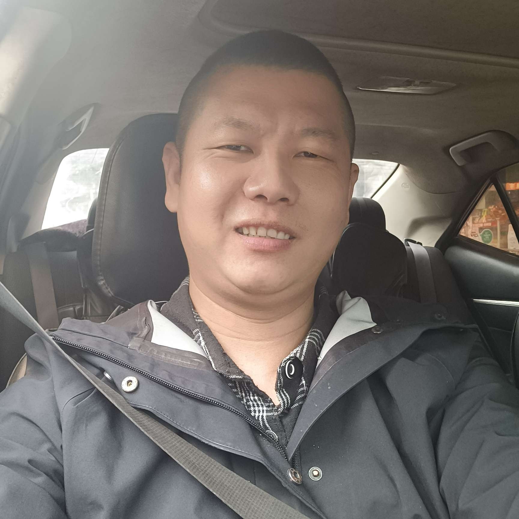 芒果停止踏实的照片