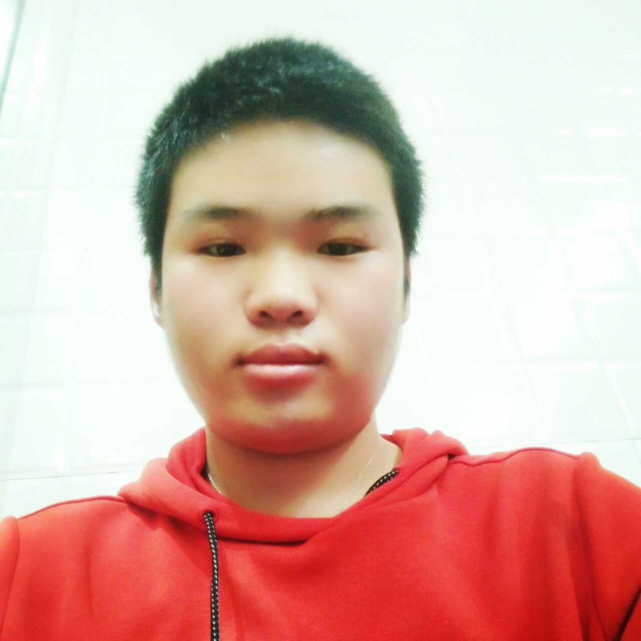 淡定苦恋柜子的照片