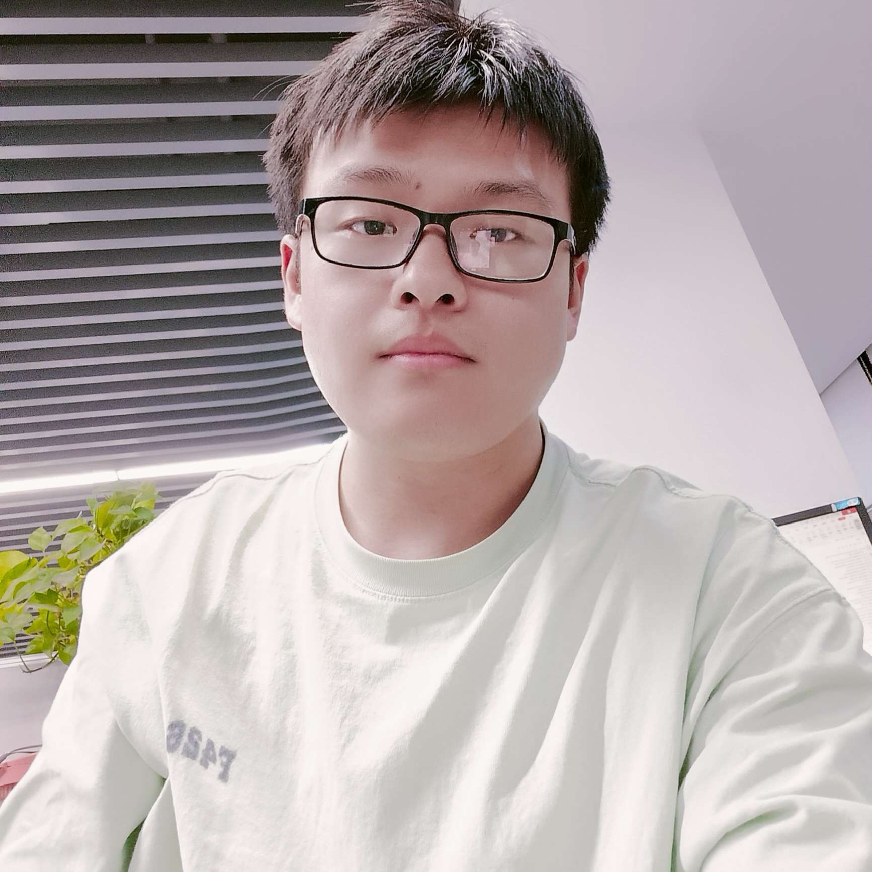 芒果的照片