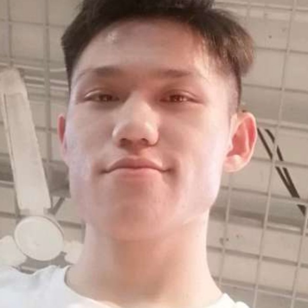 狗迎刻苦的照片