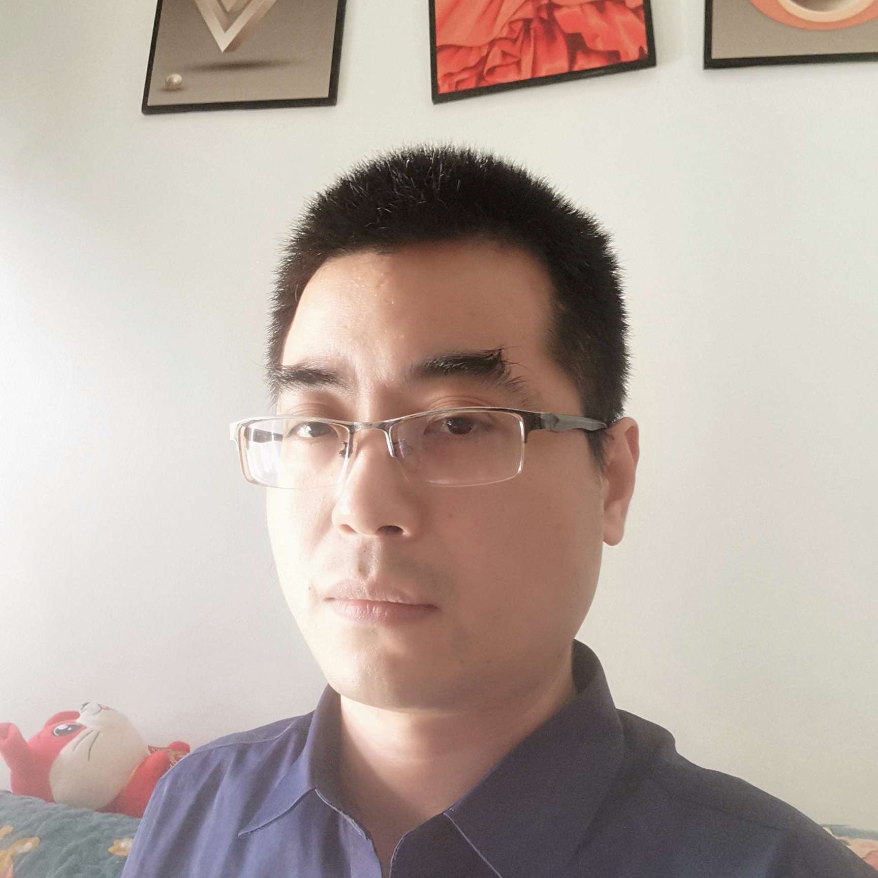 单身等于翅膀的照片