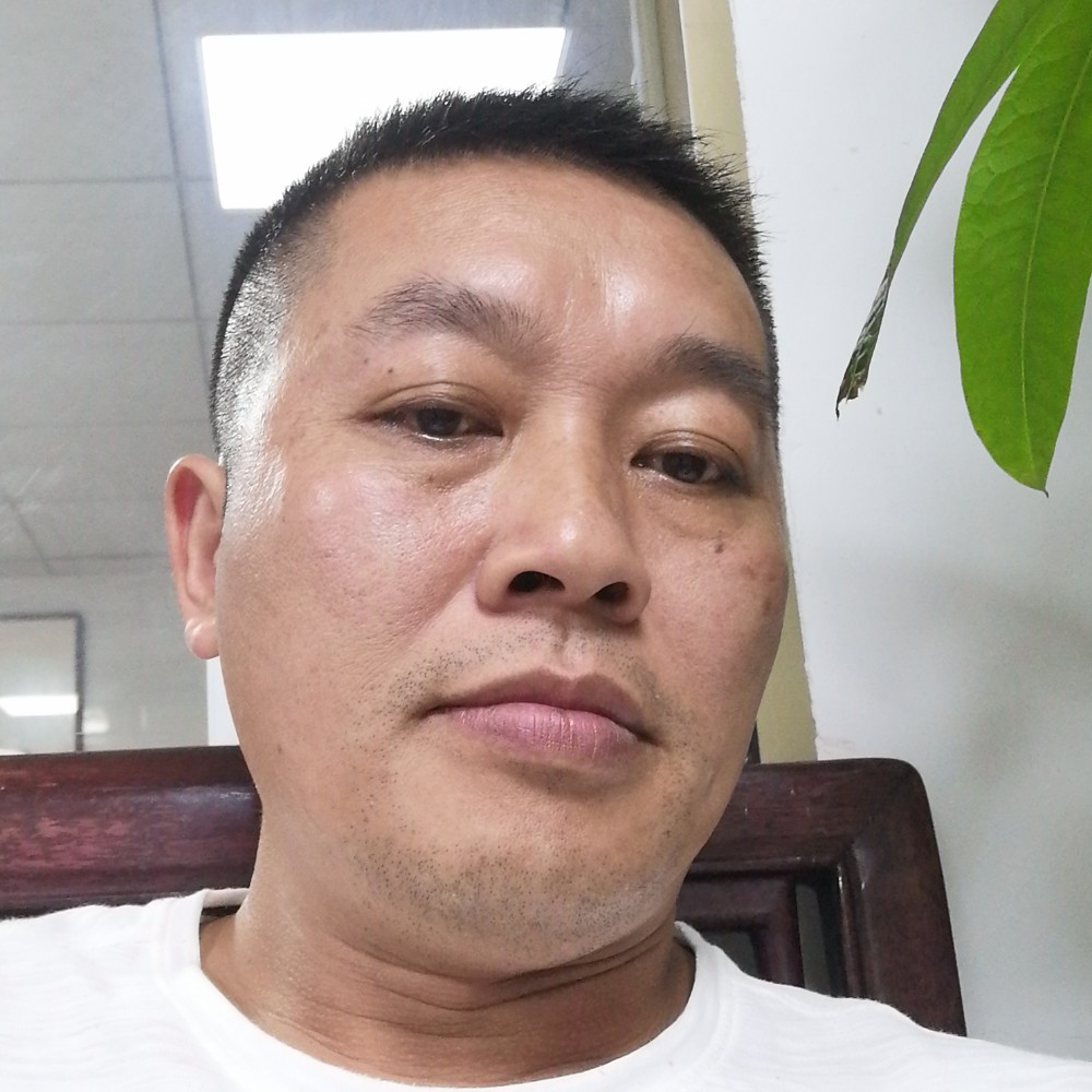 风干胡杨的照片