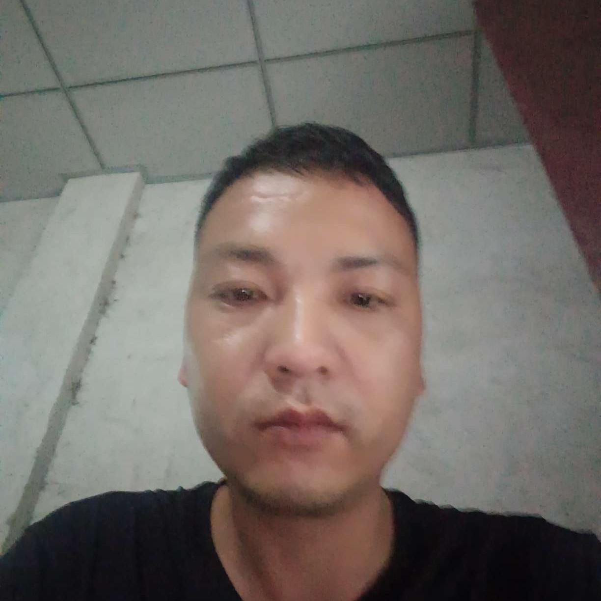香氛美丽的照片
