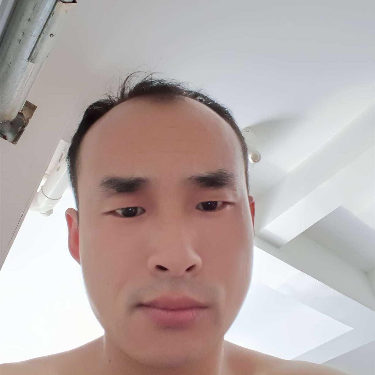 不解的漫步百合的照片