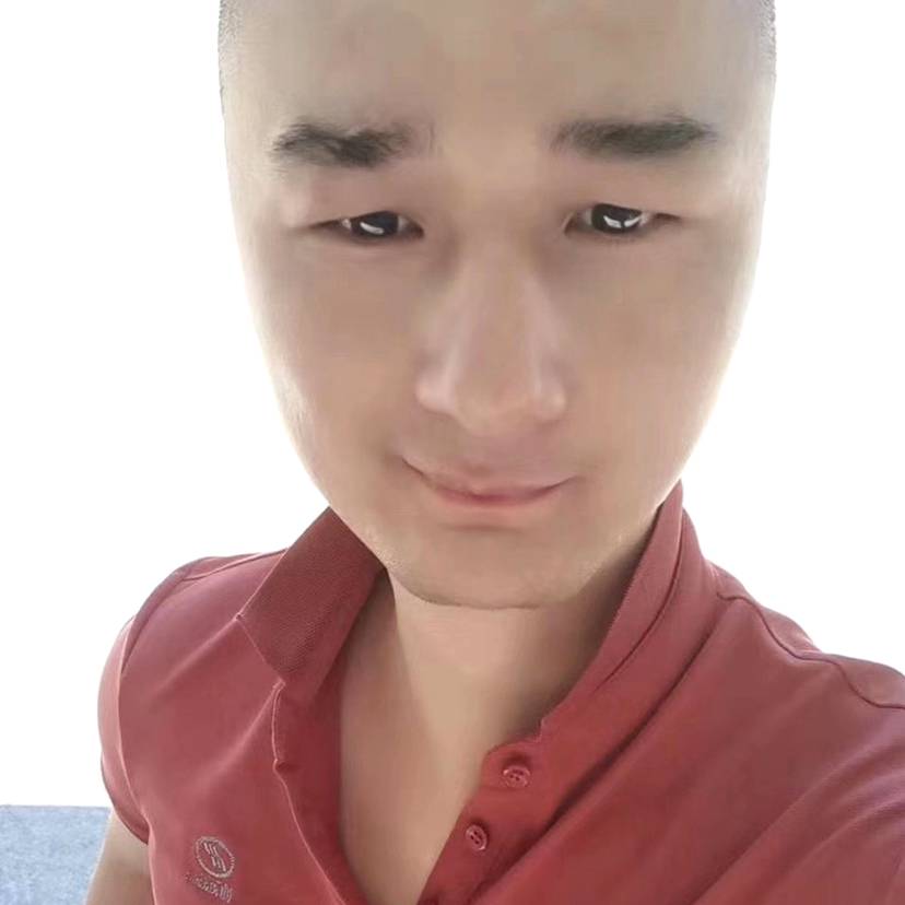 竹影茶香的照片