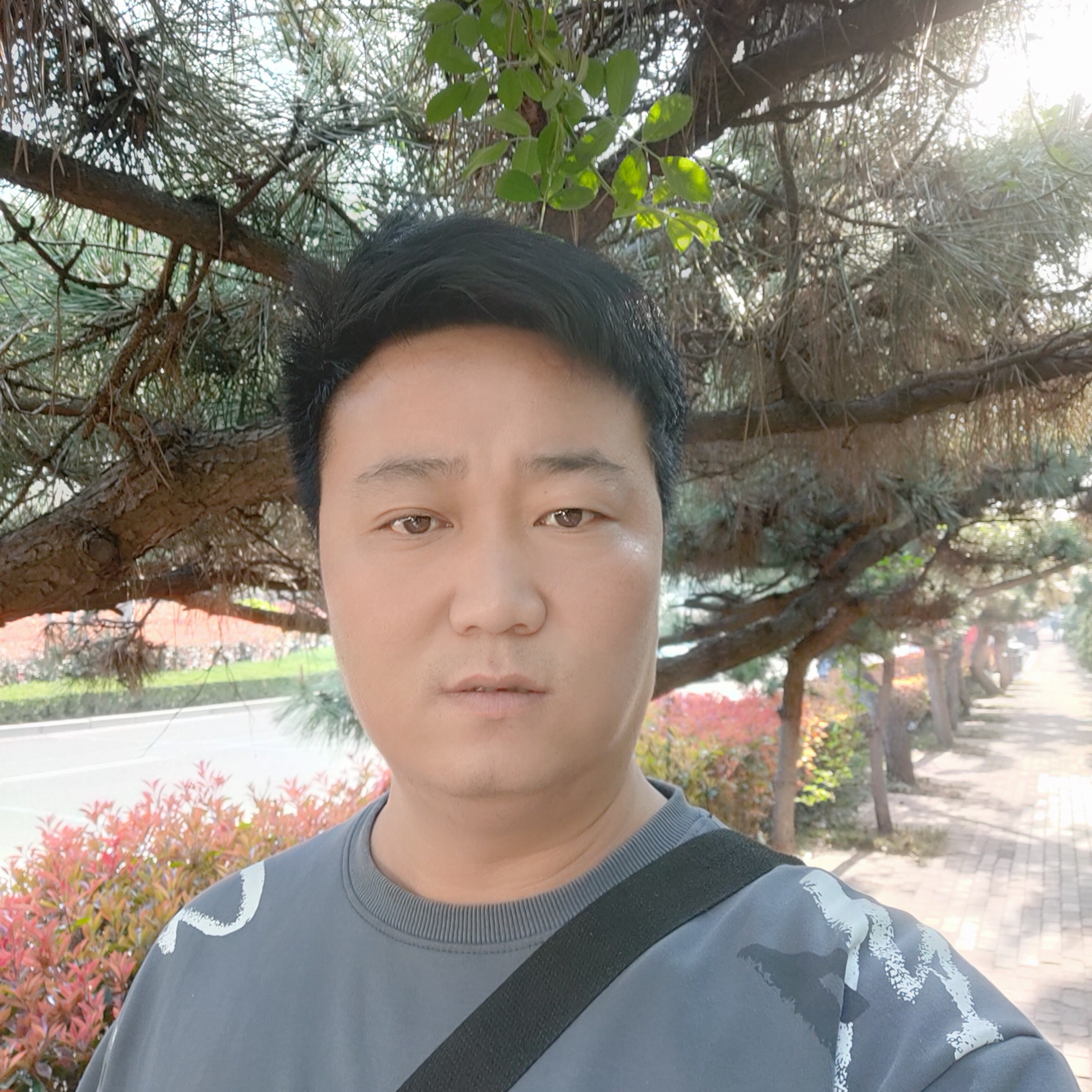 会爬树的毛毛虫的照片