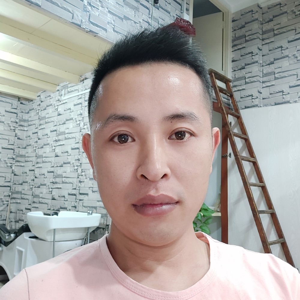孤独演变飞鸟的照片