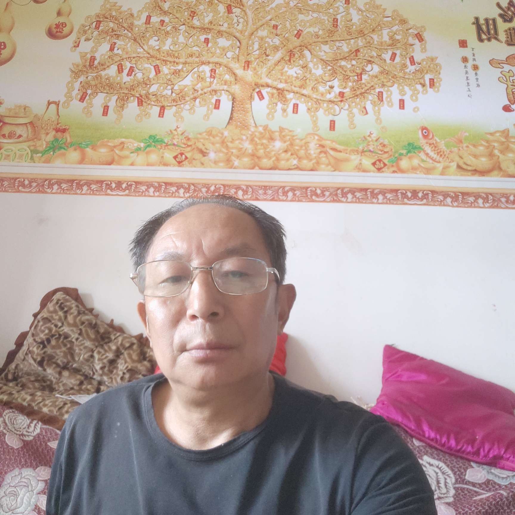 可乐漫步明媚的照片
