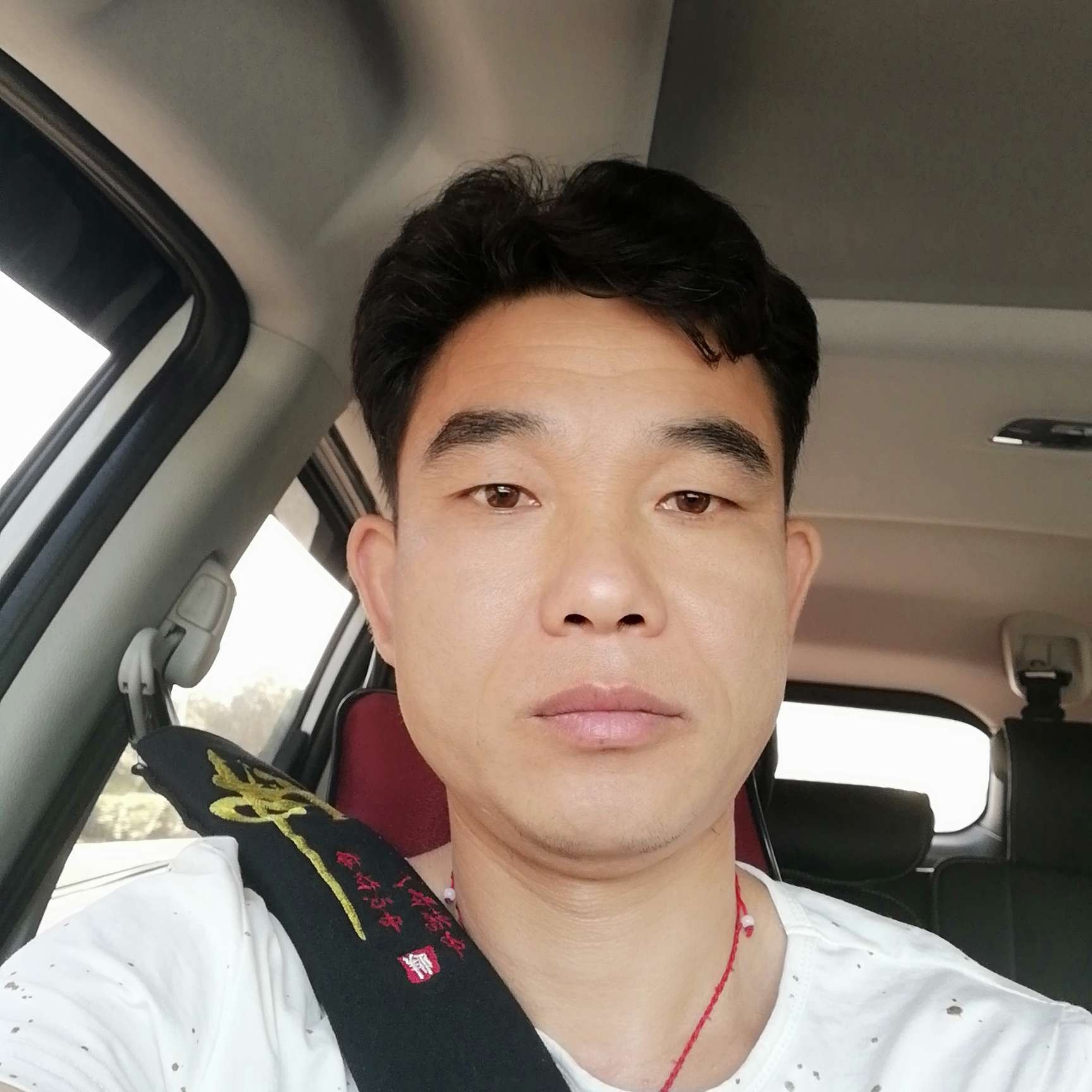 危机还小鸽子的照片