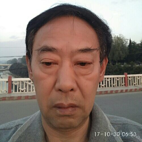 鸡呜五更的照片