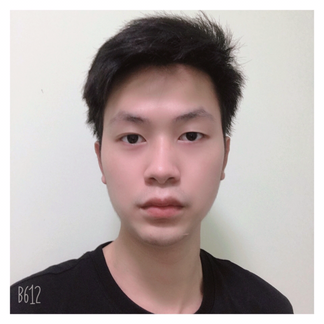 老实给纸鹤的照片