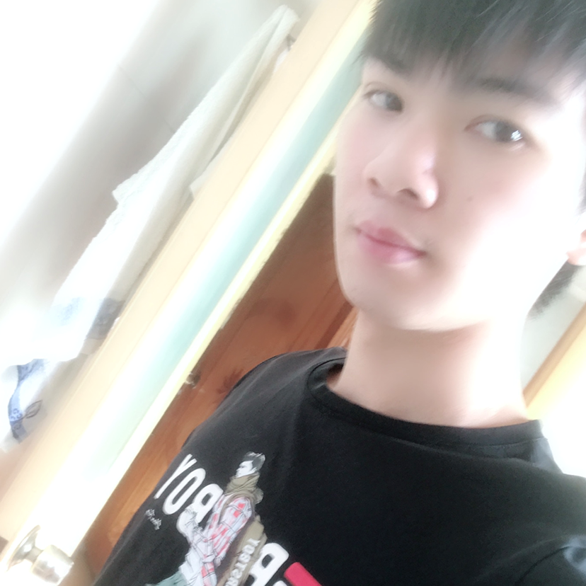 啊猫的照片