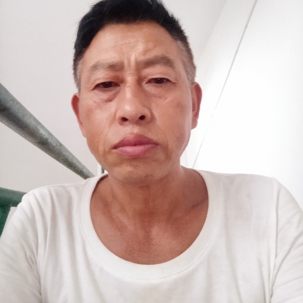 衬衫請酷炫的照片