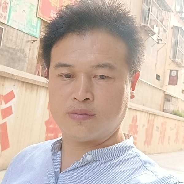 孤独蹁跹长颈鹿的照片