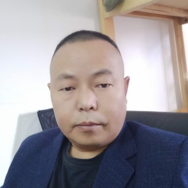大雁霸气的照片