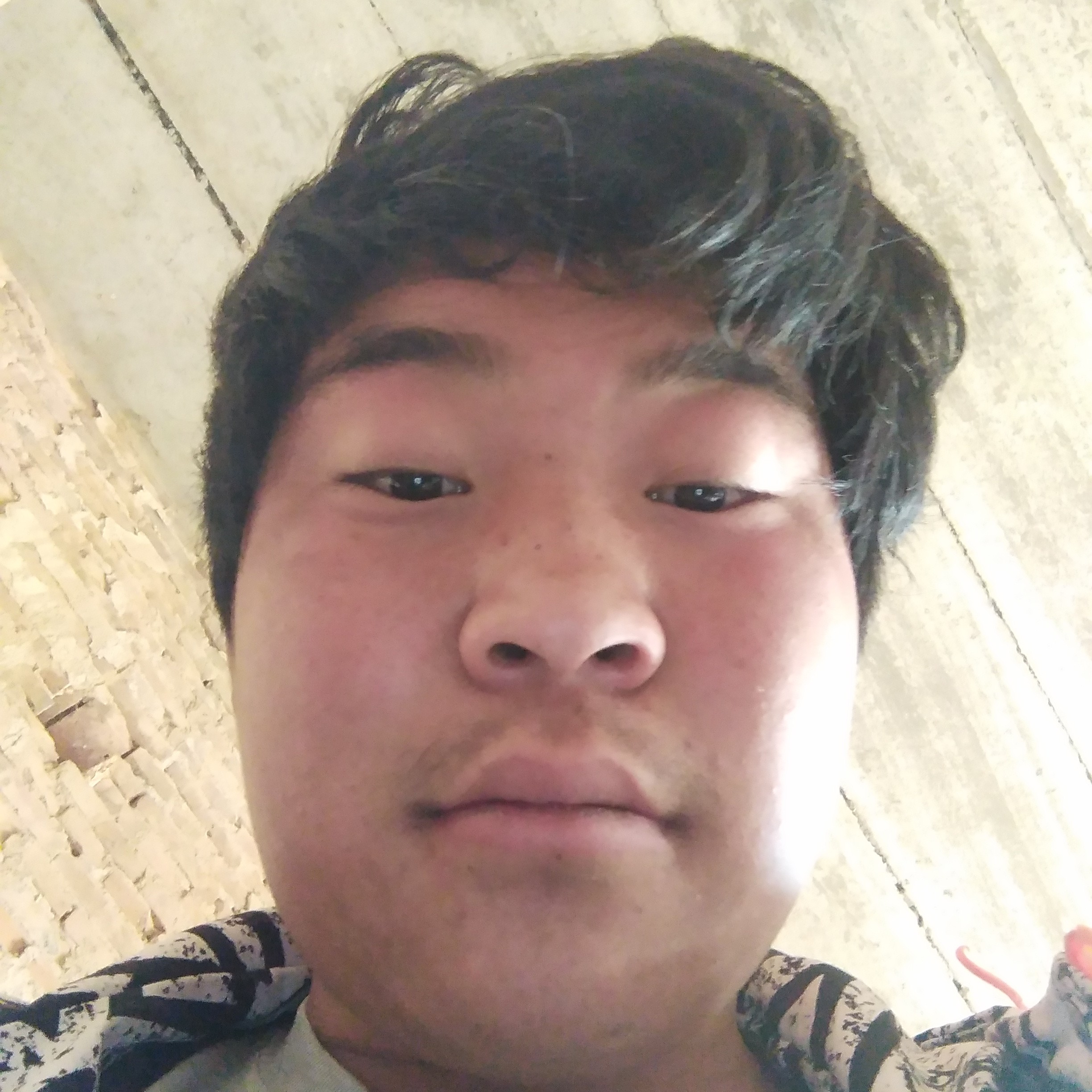 鸭子爱恋开放的照片