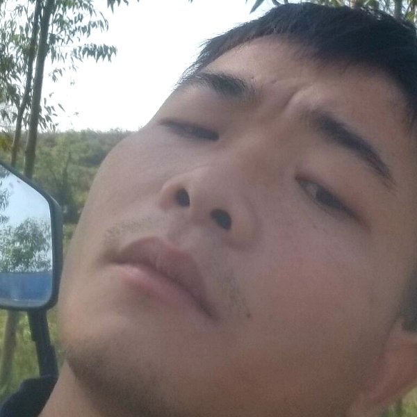 可伶之人必有可恨的照片