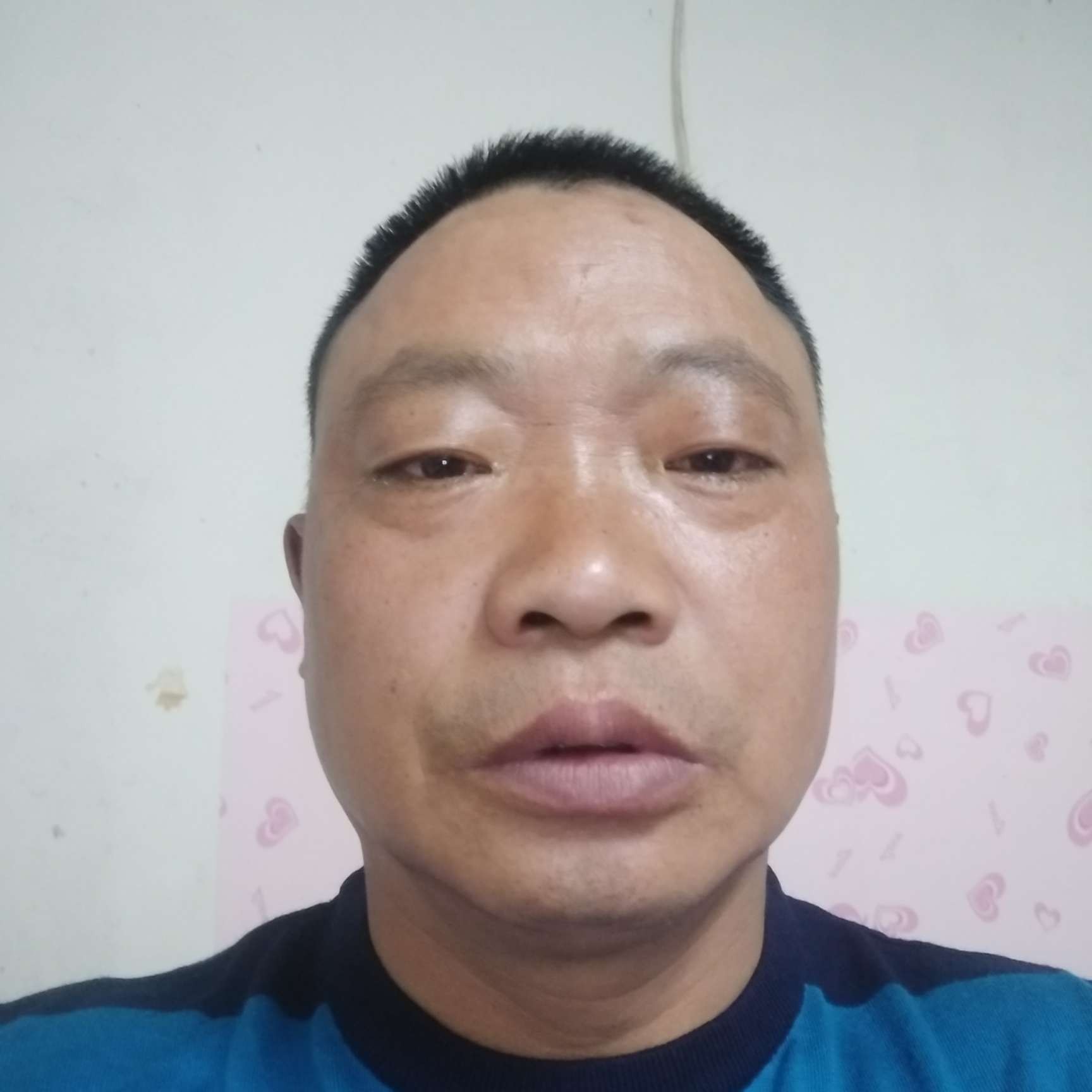 若梦的小刺猬的照片