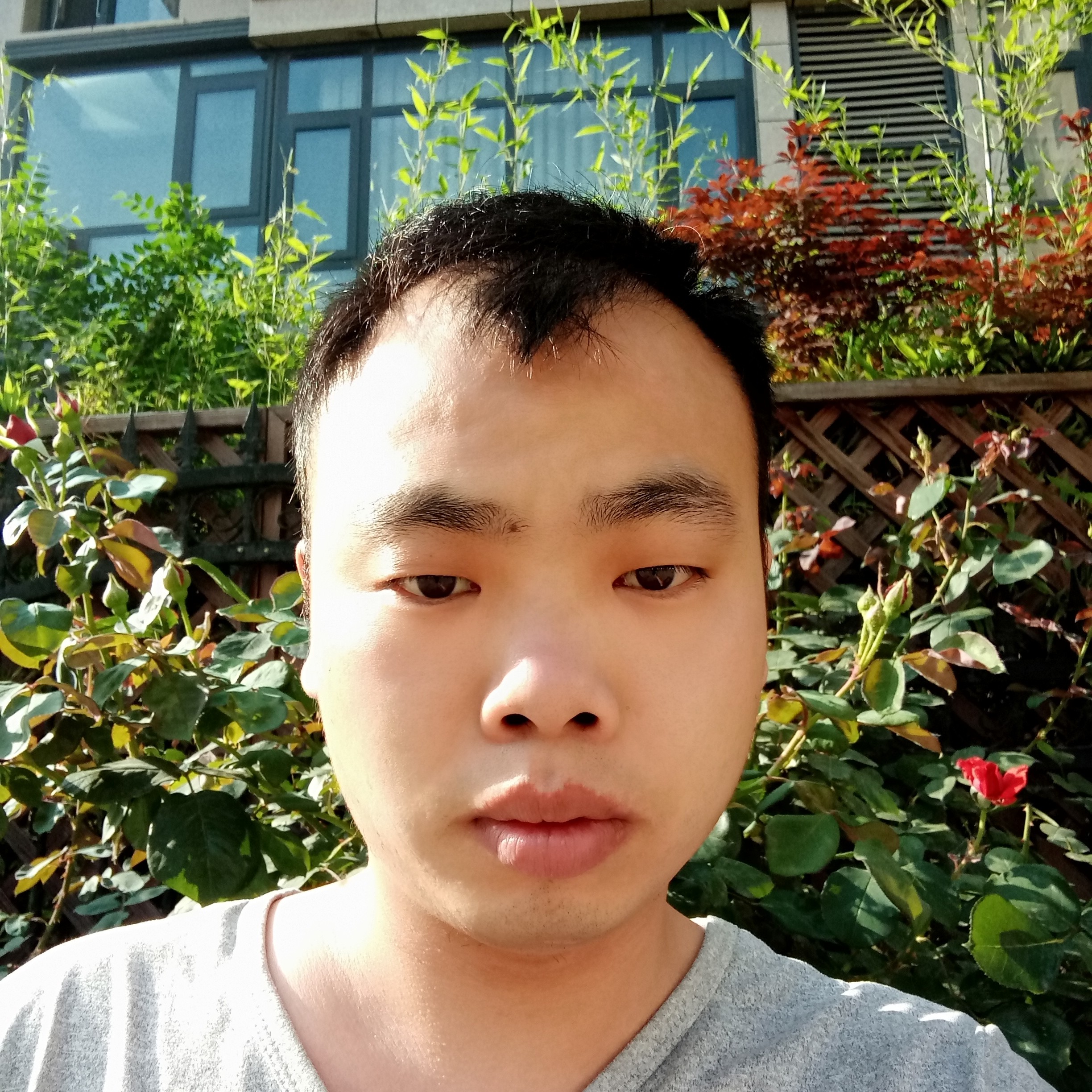 苍鹭峰景区的照片