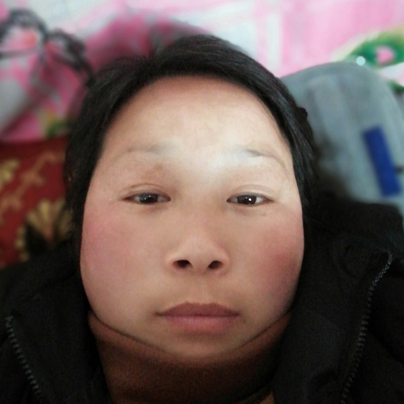桃花盛开阳光灿烂的照片