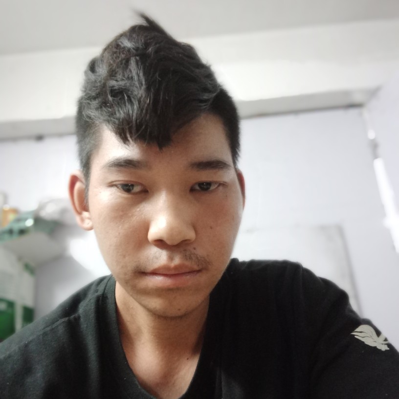恬静可乐的照片