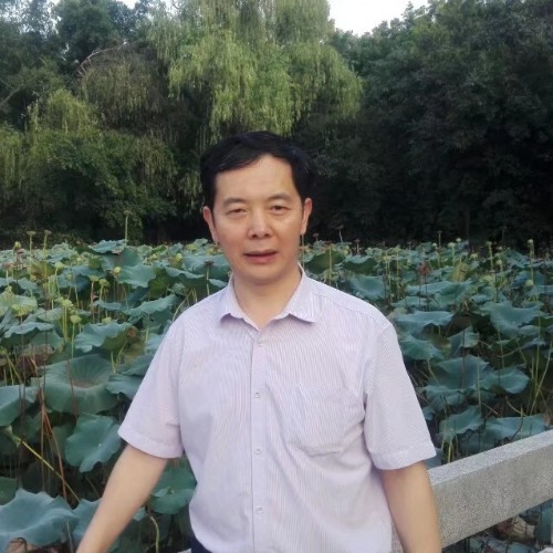 伟伟荣的照片