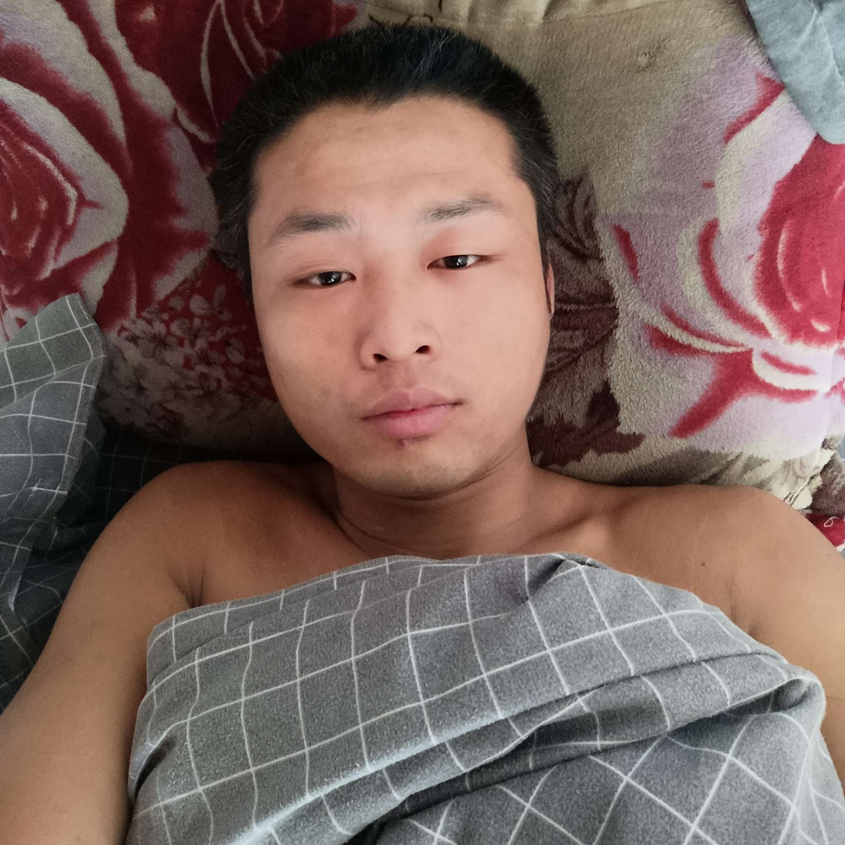 活力苦恋小蜜蜂的照片