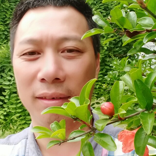 大白魁梧的照片