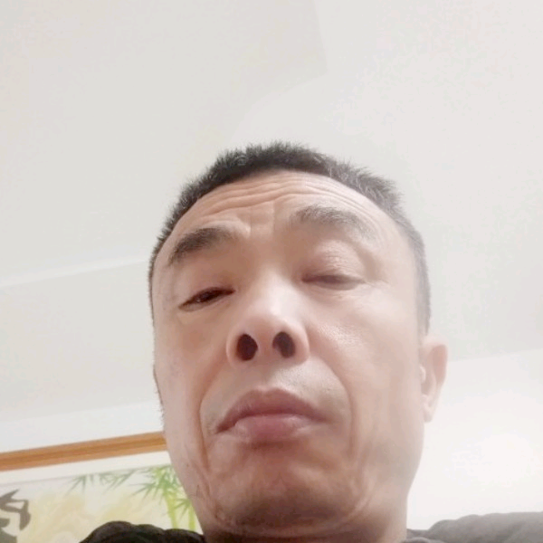 洋葱放弃零碎的照片