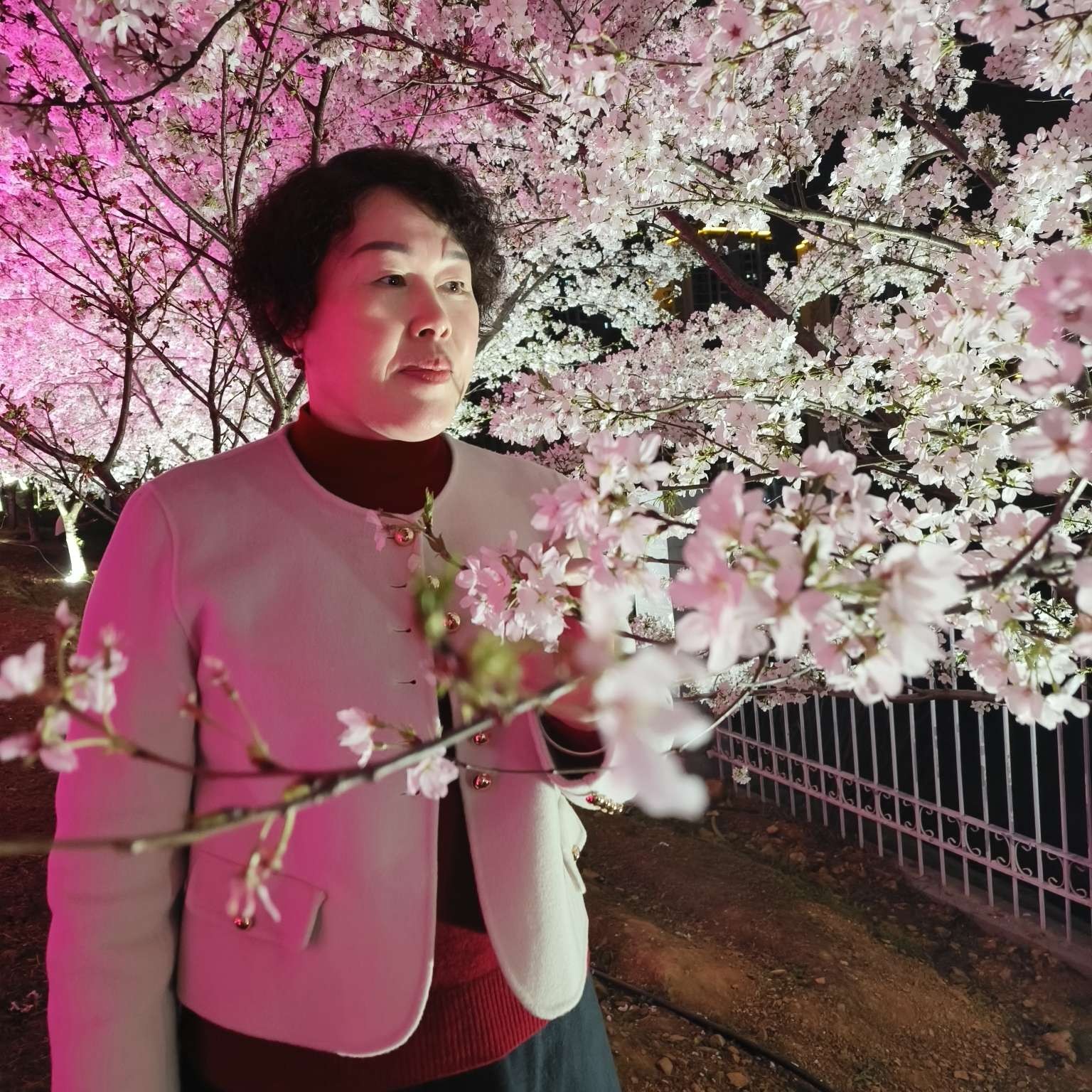 杏儿的照片