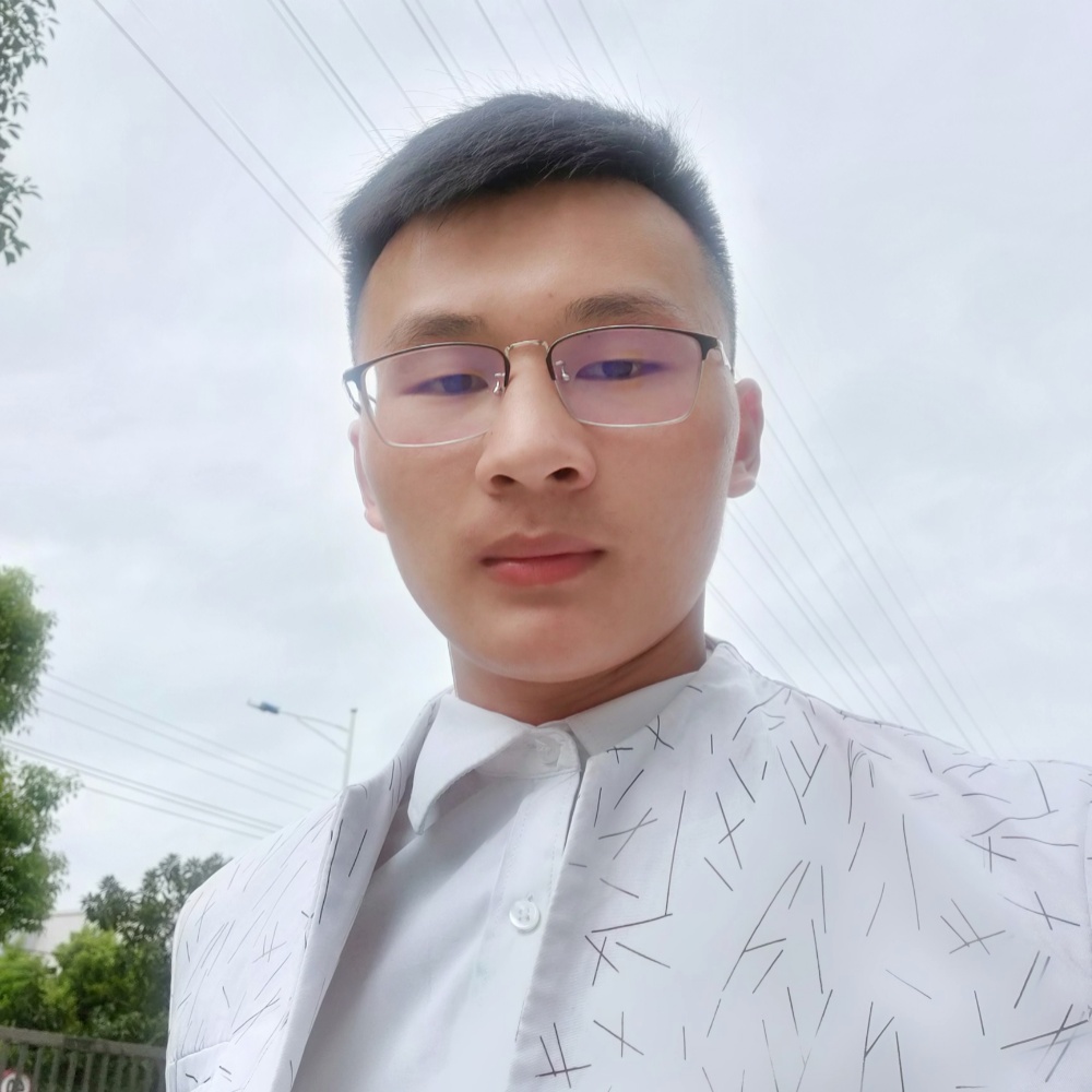 负重蚂蚁的照片
