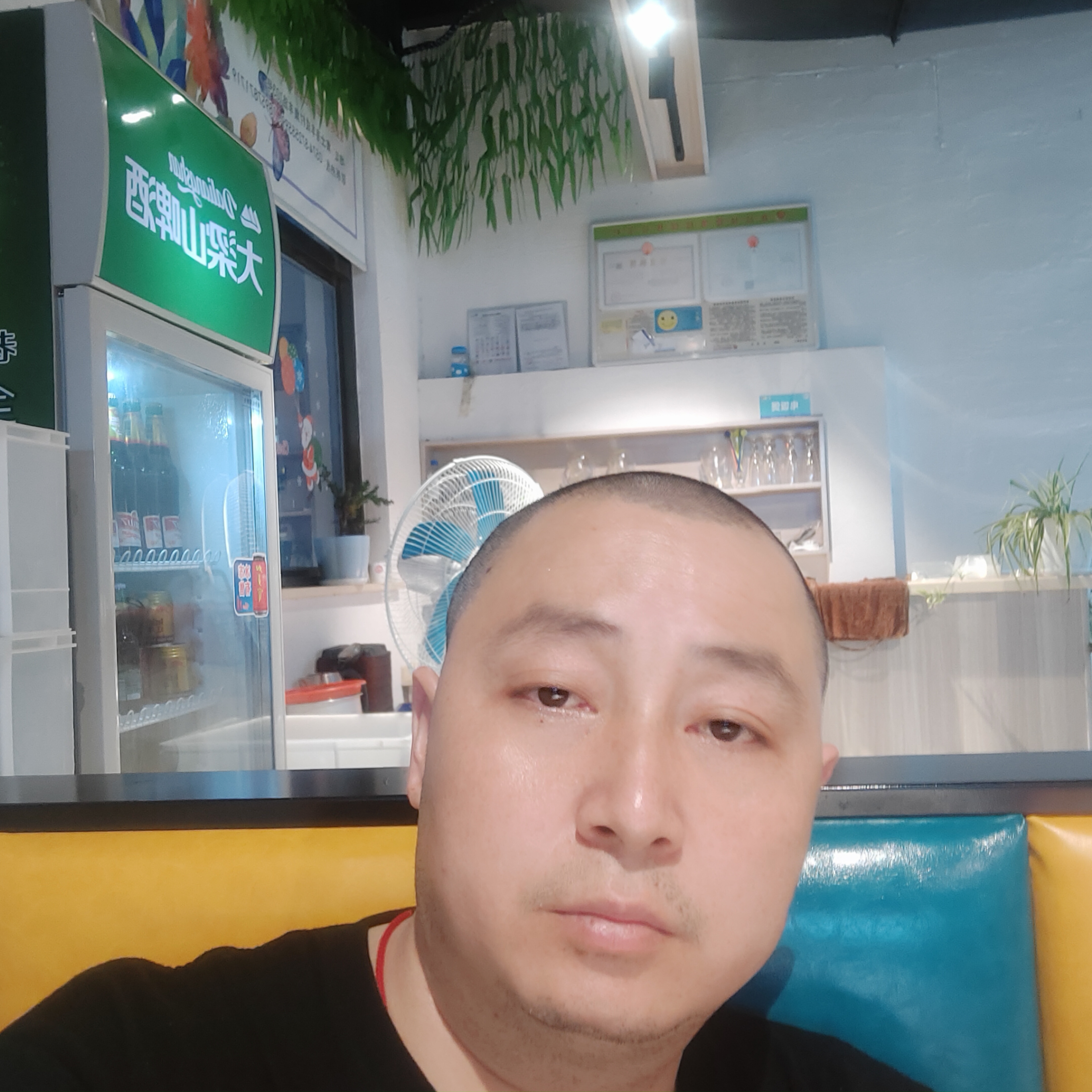 猪的照片