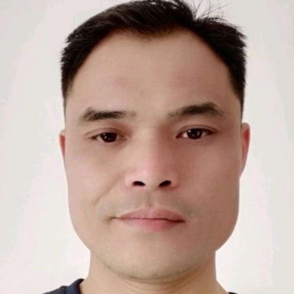 大雁合适的照片