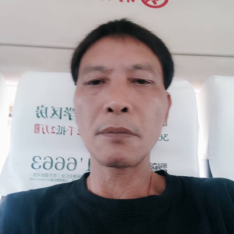 遍栽梧桐的照片