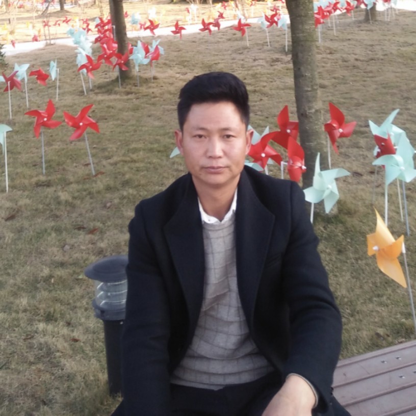 小蜜蜂的自然的照片