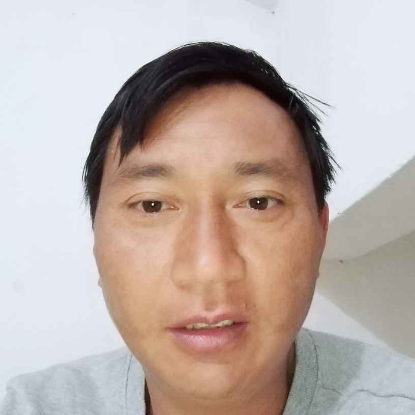 清爽青衫的照片