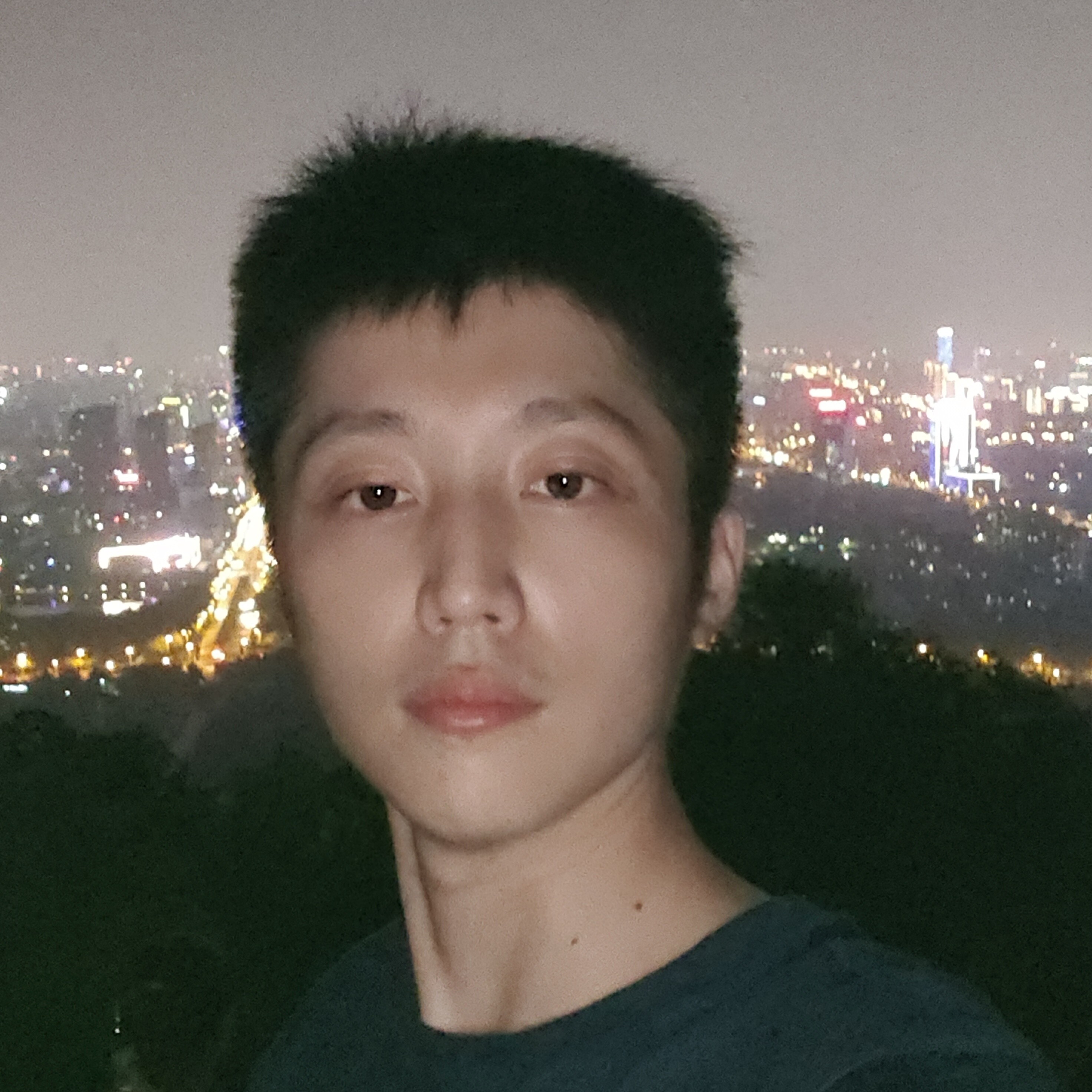 日落的贝壳的照片