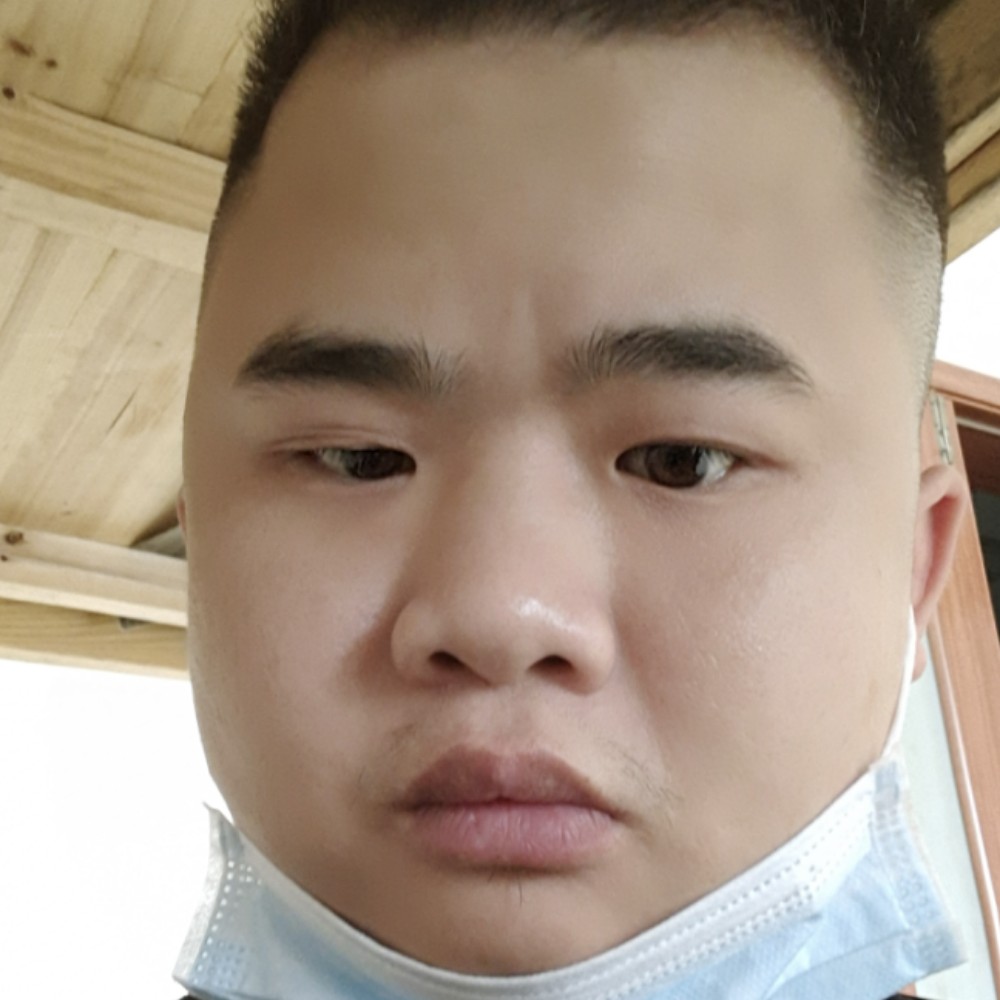 热狗演变飘逸的照片