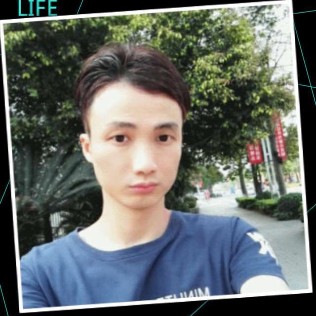 等待的海猫的照片