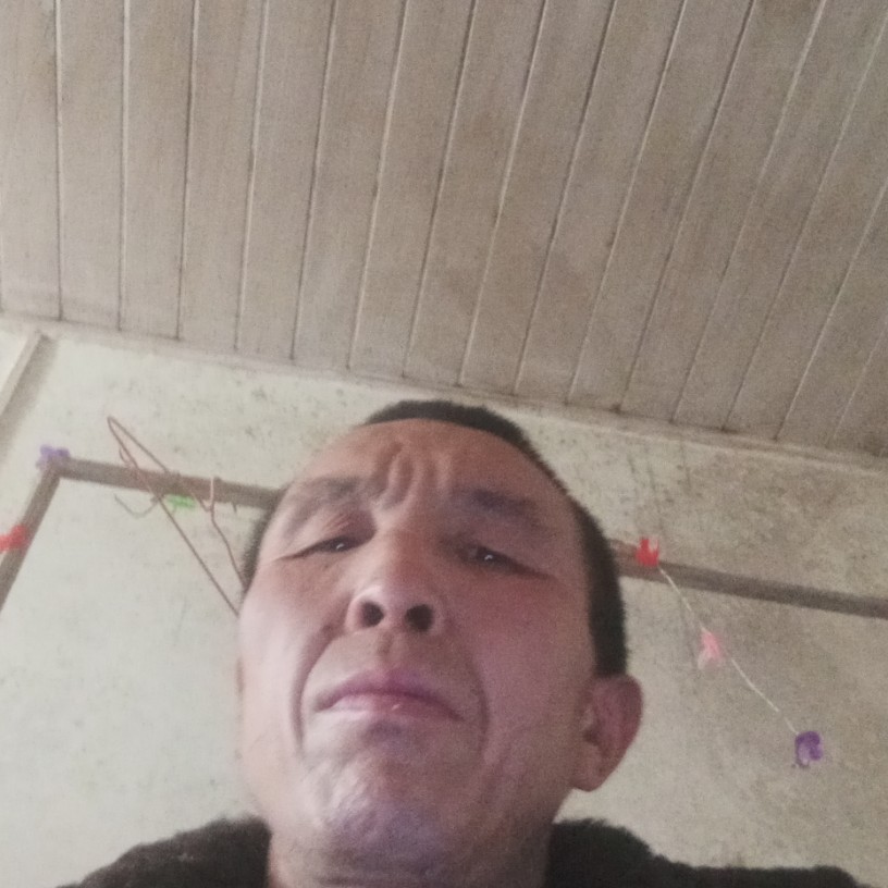 大白自由的照片