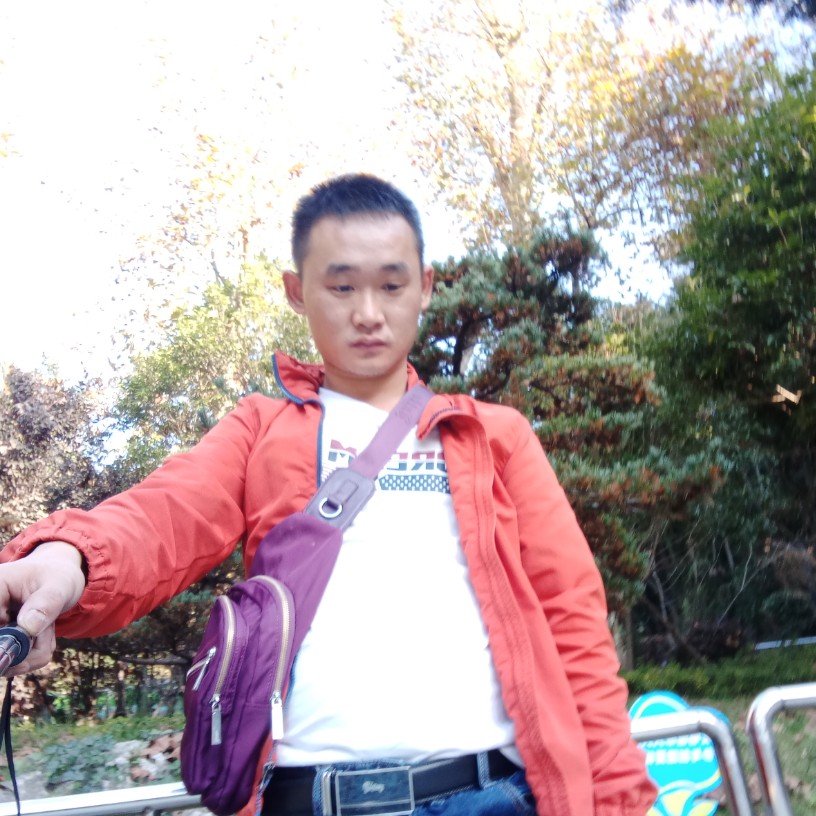 朽木充栋梁的照片