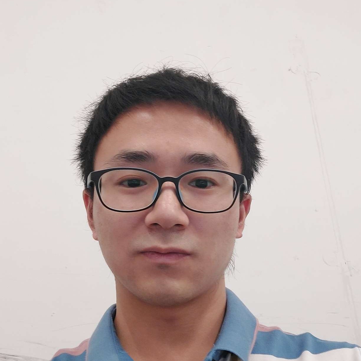 呆萌停止崖悔的照片